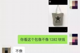 海西遇到恶意拖欠？专业追讨公司帮您解决烦恼