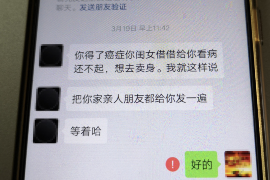 海西为什么选择专业追讨公司来处理您的债务纠纷？